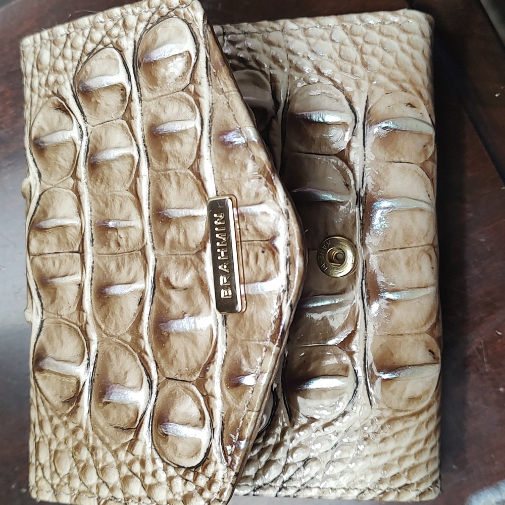Ladies Brahmin Small Wallet